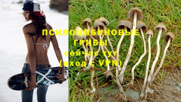 a pvp Белокуриха
