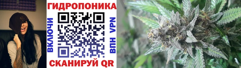 МАРИХУАНА SATIVA & INDICA  shop Telegram  Заозёрск  купить наркоту 